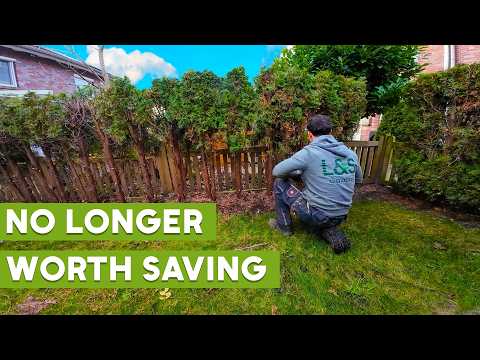 THIS Hedge Was No Longer Worth Saving