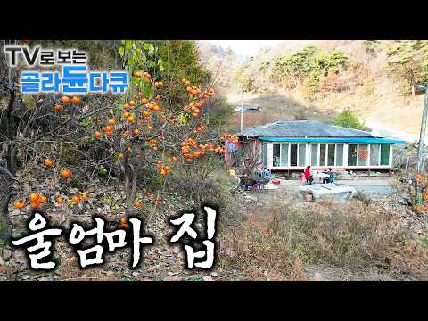 🍚 쉬지 않고 일하던 엄마의 등. 변치 않는 손맛 담은 엄마 밥상🍚｜언제나 따듯하고 푸짐하게집밥 1시간 몰아보기｜한국기행｜#tv로보는골라듄다큐