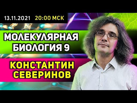 Константин Северинов. Молекулярная биология. АТФ - биологический доллар.