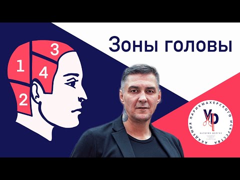 Зоны головы: за что они отвечают