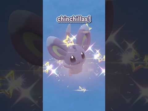 Letting Chat Choose What Shiny Pokémon I Hunt! DAY 4 #shinypokemon #pokemon