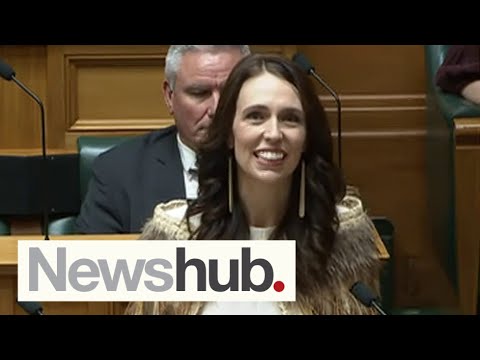 In full: Jacinda Ardern delivers final speech in Parliament before bowing out of politics | Newshub