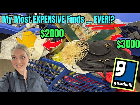 Items Worth THOUSANDS In The Goodwill BINS! The Handbag 💥MOTHERLOAD💥 Lets Thrift! +HAUL