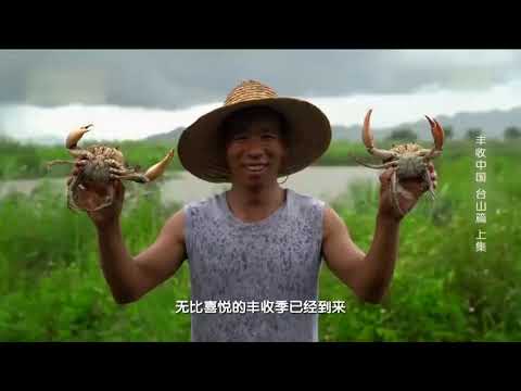 丰收中国（台山篇）上集