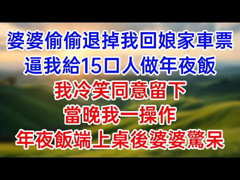 婆婆偷偷退掉我回娘家车票！逼我给15口人做年夜饭！我冷笑同意留下！当晚我一操作！年夜饭端上桌后婆婆惊呆！#幸福生活#為人處世#生活經驗#情感故事#婆媳故事#子女孝顺#孝顺#子女不孝