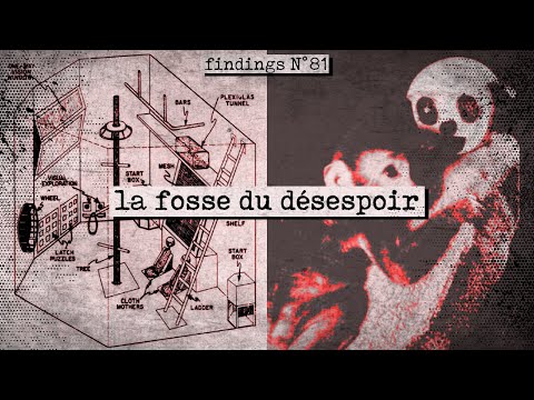 L'expérience de PSYCHOLOGIE la plus HORRIBLE - Findings N°81