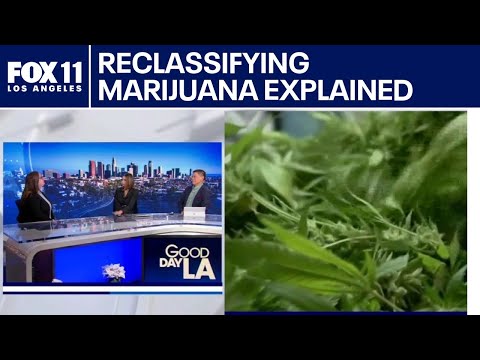 What reclassifying marijuana means for Americans