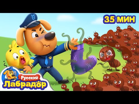 🐜С муравьями шутки плохи | 🐝Безопасность для детей | 🪼Популярный сборник мультиков | Шериф Лабрадор