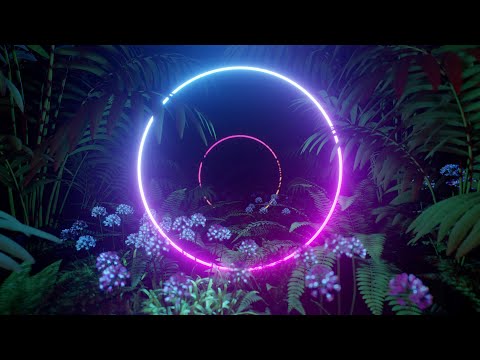 [𝟒𝐤] 𝐆𝐥𝐨𝐰𝐢𝐧𝐠 𝐍𝐞𝐨𝐧 𝐂𝐢𝐫𝐜𝐥𝐞𝐬 𝐈𝐧 𝐓𝐡𝐞 𝐅𝐨𝐫𝐞𝐬𝐭｜Abstract Background｜Color Changing｜Strobe Light Effect｜