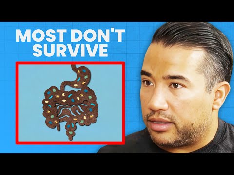 Most Probiotics Are KILLED by the Gut but NOT THESE ONES... | Kiran Krishnan