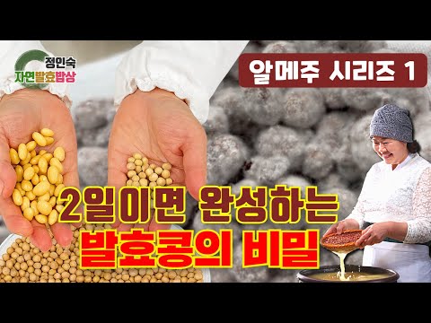 Doctors Are Amazed! Easy Home Fermentation with Aspergillus oryzae