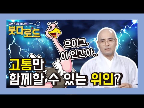 고통만 함께할 수 있는 위인? 으이그, 이 인간아! - 자현스님의 붓다로드 62회