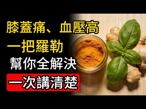 膝蓋痛、血壓高、睡不著？一把羅勒幫你全解決！一次講清楚