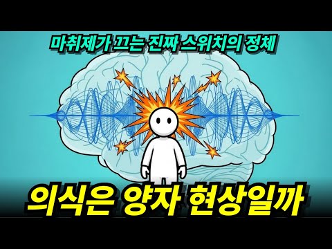 마취제가 끄는 건 '뉴런'이 아니었습니다: 양자역학이 밝힌 의식의 기원