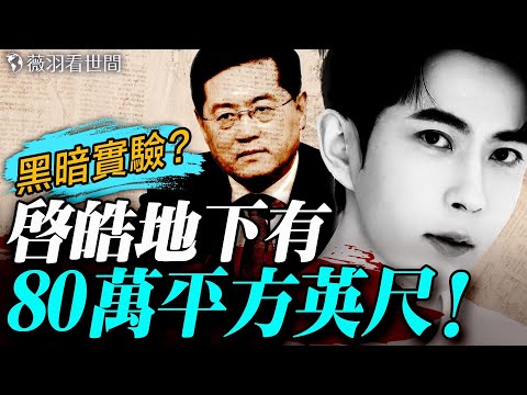 秦剛現身啟皓！《紅色輪盤》描述啟皓建設團隊全國際，地下空間80萬平方英尺！比格斯曝光，中共權貴的地下方舟和黑暗實驗；楊蘭蘭棄豪華公寓逃跑了？｜薇羽看世間 20251020