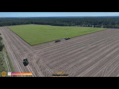 Fangen wir an zu häckseln! Köhl Harvest räumt die Maisfläche in Rekordgeschwindigkeit ab Maisernte