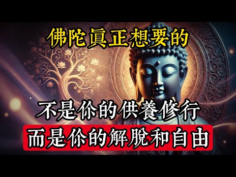 佛陀真正想要的，不是你的供養修行，而是你的解脫自由！#佛學 #禪宗 #佛教哲學 #佛教經典