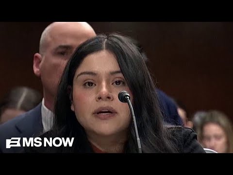 ‘My own government attempted to execute me’: Victims of ICE and Border Patrol aggression testify