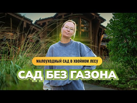 Малоуходный сад в хвойном лесу. Сад без газона.