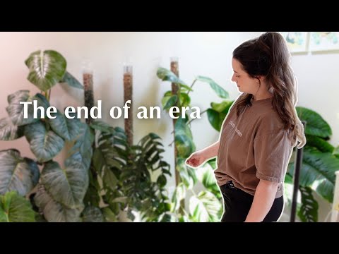 Why I'm Not Growing Sphagnum Moss Poles Anymore