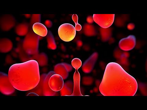 4K Relaxing Lava Lamp Close up - Screensaver Wallpaper Background