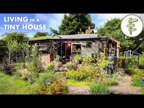 Couple's AMAZING Off-Grid Homestead & SUPER SMALL Tiny House Built from Scratch – FULL TOUR