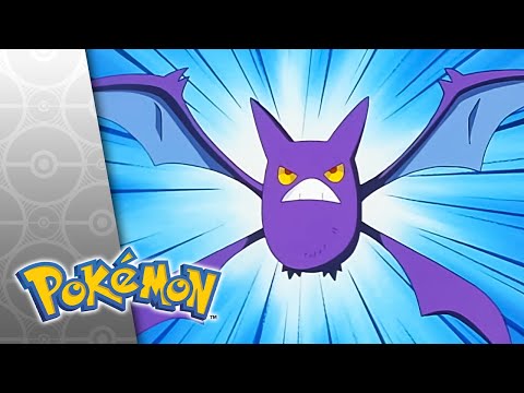 Control Freak! | POKÉMON FULL EPISODE 39 | Season 4