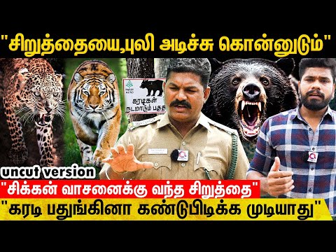 சிறுத்தையை புலி கொன்னுடும் ஆனா புலியை கரடி கொன்னுடும்|Valparai Uncut Version|Tiger Vs Bear - Leopard