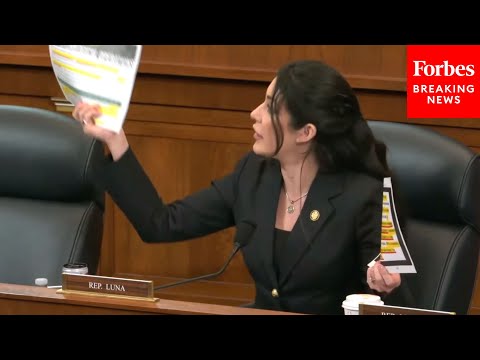 'I Find This Disturbing': Luna Clashes With Witness About Alleged Manual Concerning USAID