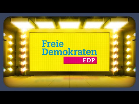 Das Wahlprogramm der FDP erklärt | Bundestagswahl 2025