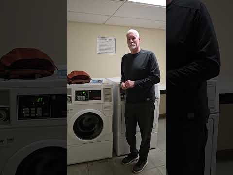 Who thought a laundromat would make us happy?