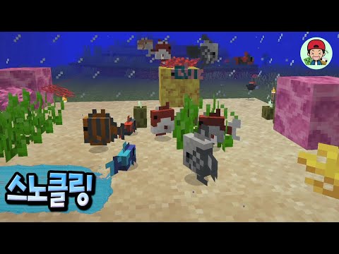 역대급 퀄리티의 야생 스노클링장 드디어 완성! 열대어, 거북이 ㄷㄷ _ 마인크래프트