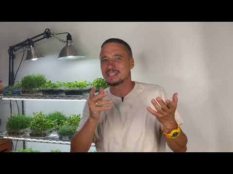 MICROGREEN FARM - what do you need to start?!