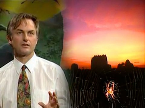 Ep2: Designed and Designoid Objects - Growing Up in the Universe - Richard Dawkins