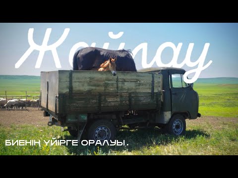 Жайлау/Жылқы бағу оңай емес