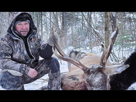 IN OLD AGE I WILL REMEMBER THIS HUNT. THE TROPHY BULL HAS BEEN TAKEN.