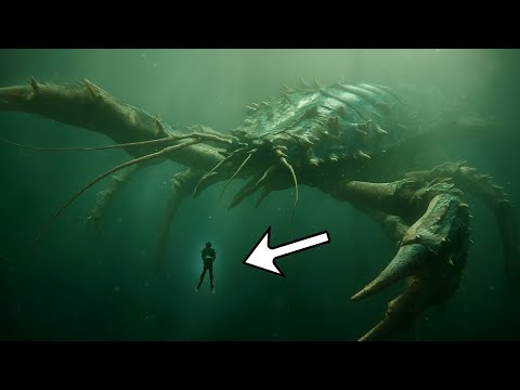 What Makes Deep Sea Monsters Grow So Huge?
