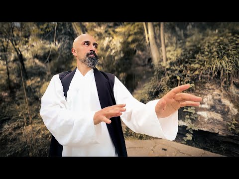 Flying with Bees - A Documentary about the Path