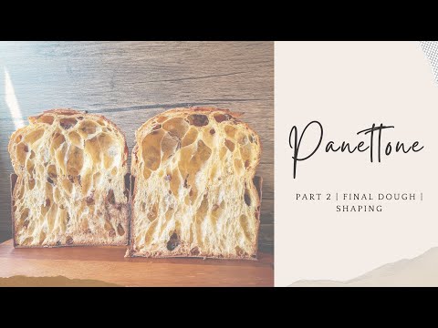 Part 2 | How to make Sourdough Panettone at home
