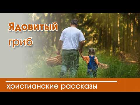 Детский христианский рассказ Ядовитый гриб