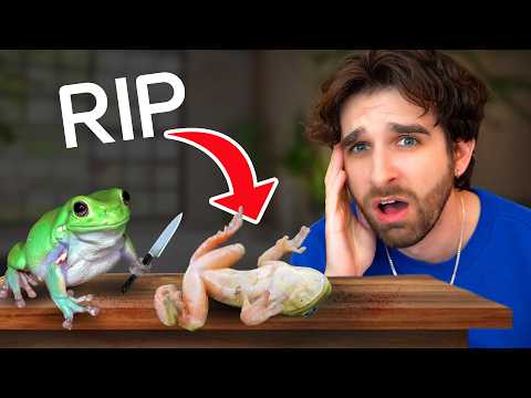 My Frog ATTACKED His New Girlfriend... (Evil Pet GONE WRONG)