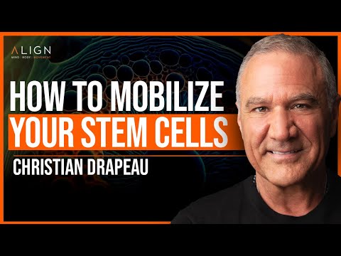 Stem Cells: A Basic Understanding | Christian Drapeau