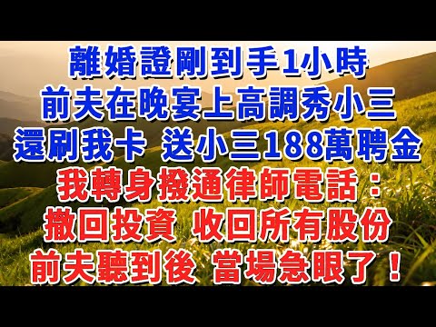 離婚證剛到手1小時，前夫在晚宴上高調秀小三，還刷我卡 送小三188萬聘金，我轉身撥通律師電話：撤回投資 收回所有股份。前夫聽到後 當場急眼了！#小娟講故事 #情感故事 #老年生活