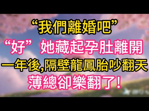 “我們離婚吧”“好”她藏起孕肚離開，直到一年後，隔壁龍鳳胎吵翻天，薄總卻樂翻天!