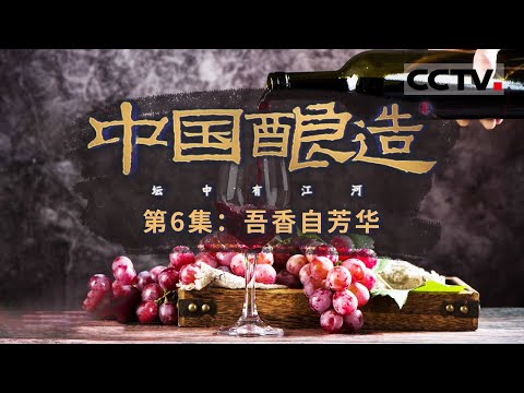 《中国酿造》“葡萄酒出太原”？历史上 山西曾是中国重要的葡萄酒产区！白居易曾写下“羌管吹杨柳 燕姬酌蒲萄” 一起来看白居易笔下的山西葡萄酒！EP06【CCTV纪录】