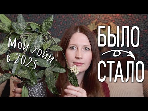 BEFORE AND AFTER! All my 2025 Hoyas