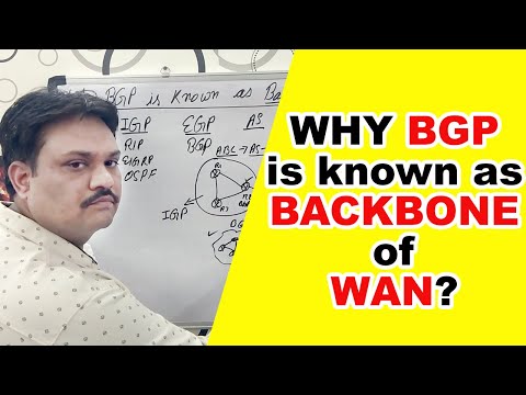 Why BGP Protocol is known as BACKBONE of Internet // HINDI