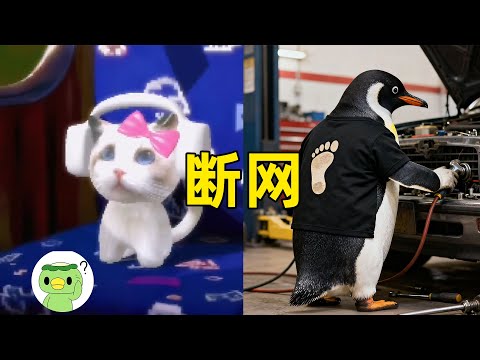 【斷網補全計劃116】中國蛋神翻車始末，為什麼全網突然開始反噬他？