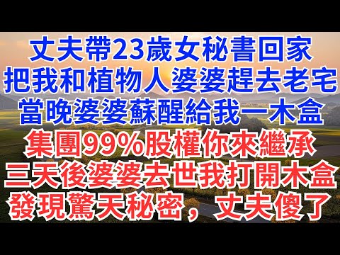丈夫帶23歲女秘書回家,把我和植物人婆婆趕去老宅,當晚婆婆蘇醒給我一木盒:集團99%股權你來繼承,三天後婆婆去世,我打開木盒發現驚天秘密,丈夫傻了!#為人處世#生活經驗#情感故事#故事#小說#情感