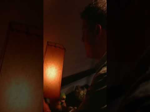 HAUNT:MEME - "Hallway Lamp"